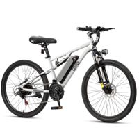Qlife Racer 27.5 Ultra (EB20-27.5F) photo 1
