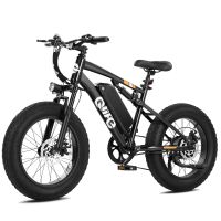 Qlife Racer Fat Tire 2.0 (EB50 Plus) photo 1