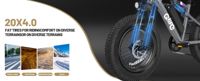 Qlife Racer Fat Tire 2.0 (EB50 Plus) photo 10
