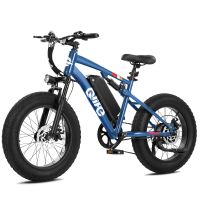 Qlife Racer Fat Tire 2.0 (EB50 Plus) photo 2