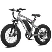 Qlife Racer Fat Tire 2.0 (EB50 Plus) photo 3