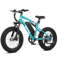 Qlife Racer Fat Tire 2.0 (EB50 Plus) photo 4