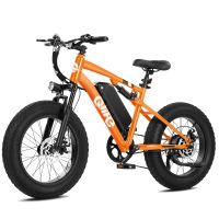 Qlife Racer Fat Tire 2.0 (EB50 Plus) photo 5