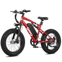 Qlife Racer Fat Tire 2.0 (EB50 Plus) photo 6