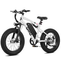 Qlife Racer Fat Tire 2.0 (EB50 Plus) photo 7