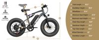 Qlife Racer Fat Tire 2.0 (EB50 Plus) photo 8
