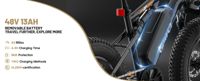 Qlife Racer Fat Tire 2.0 (EB50 Plus) photo 9