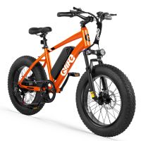 Qlife Racer Fat Tire (EB50) photo 5