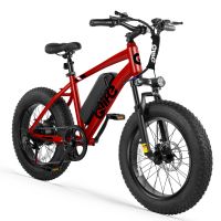 Qlife Racer Fat Tire (EB50) photo 6