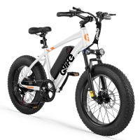 Qlife Racer Fat Tire (EB50) photo 7