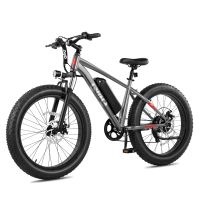 Qlife Racer Plus (EB13) foto 3