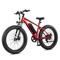 Qlife Racer Plus (EB13) foto 4