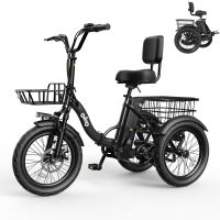 Qlife Triker 2.0 (EB58P) photo 1
