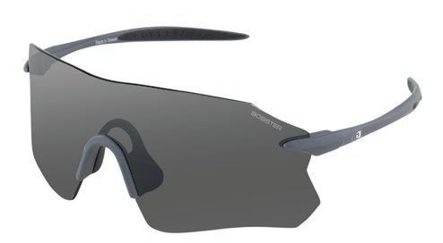 Bobster Aero Sunglasses